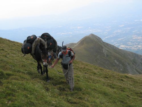 trekking con i muli-38.JPG